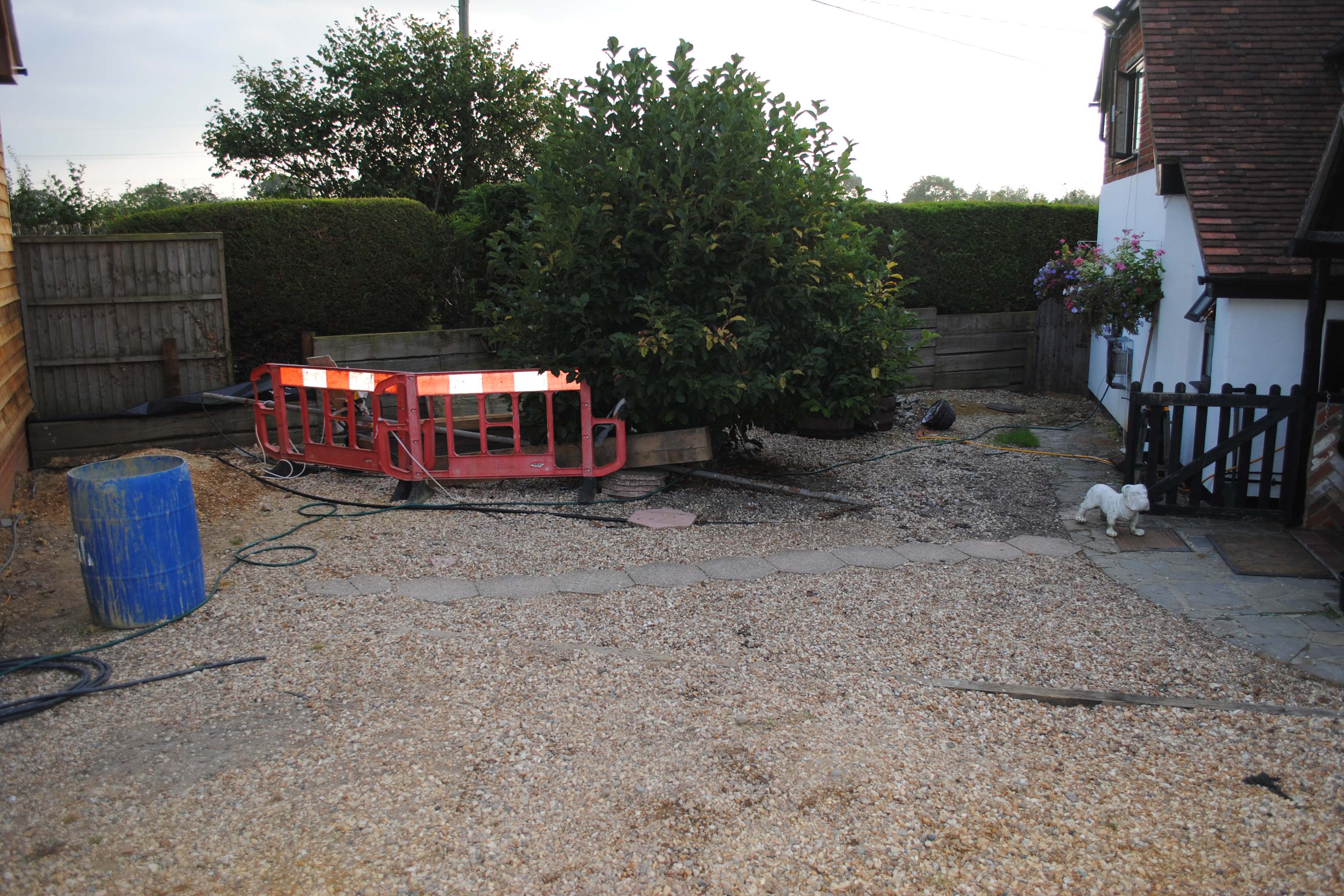 old-new-forest-garden