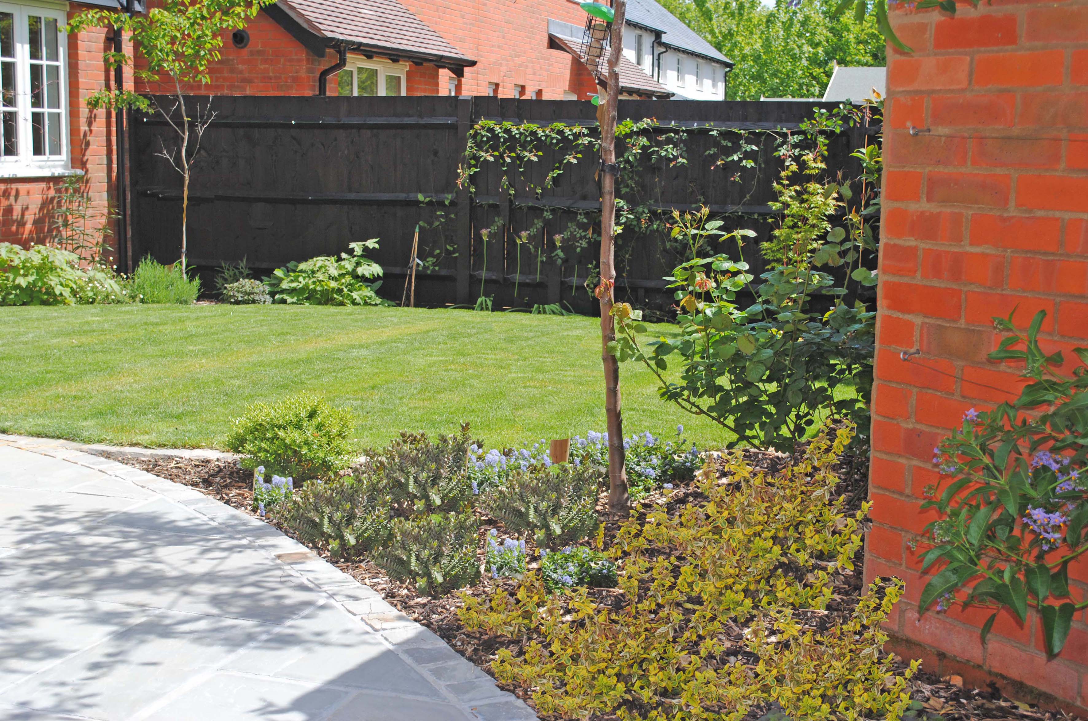 havant-garden-design